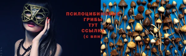 мяу мяу кристалл Горняк