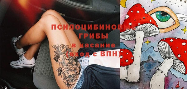 сатива Гусев