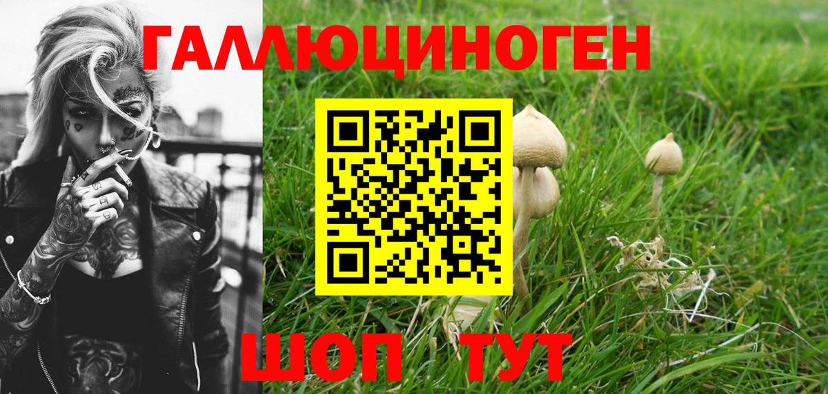 Галлюциногенные грибы Magic Shrooms  Вход с VPN  купить наркоту  Губкинский 